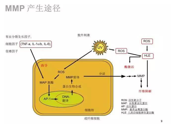 紫外线光疗仪